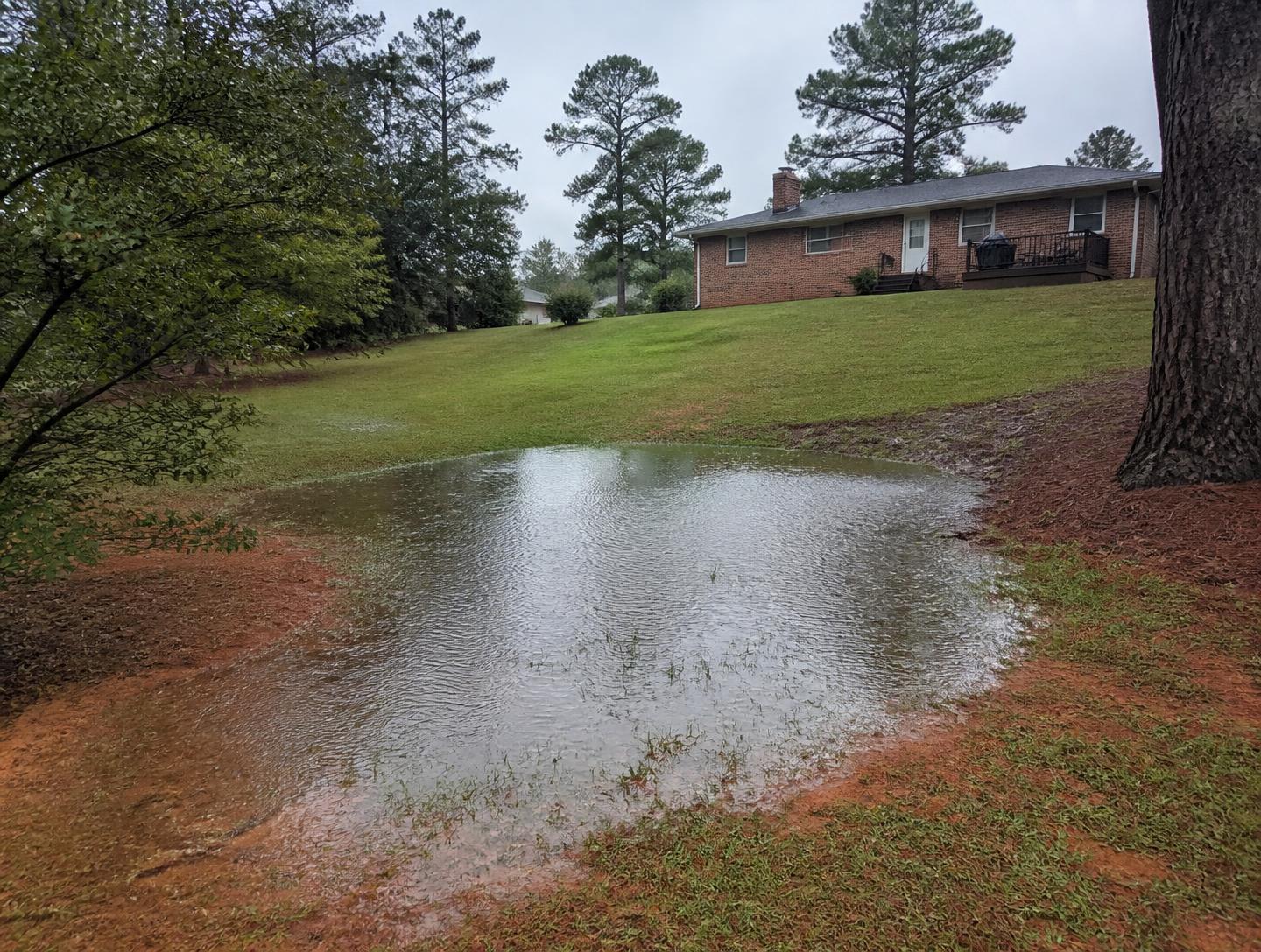 Rainwater standing in a low spot of a sloped Upstate South Carolina backyard with red clay soil at the edges